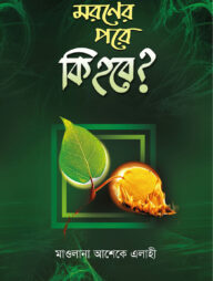 মরণের পরে কি হবে