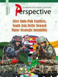 Perspective (June 2025)