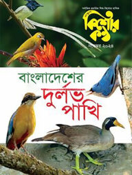 কিশোরকণ্ঠ নভেম্বর ২০২৪(পেপারব্যাক)