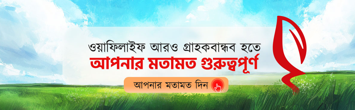 Mushuk videosida yaqindan porno kamera