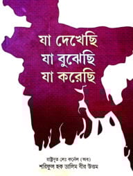 যা দেখেছি যা বুঝেছি যা করেছি