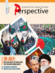 Perspective (July-2025)