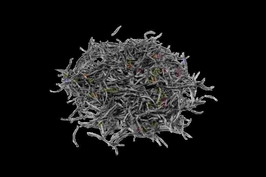 1747727776047_SilverNeedleWhiteTea45GM-back