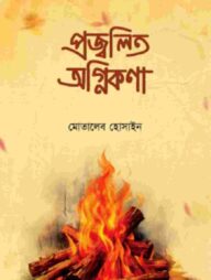 প্রজ্বলিত অগ্নিকণা