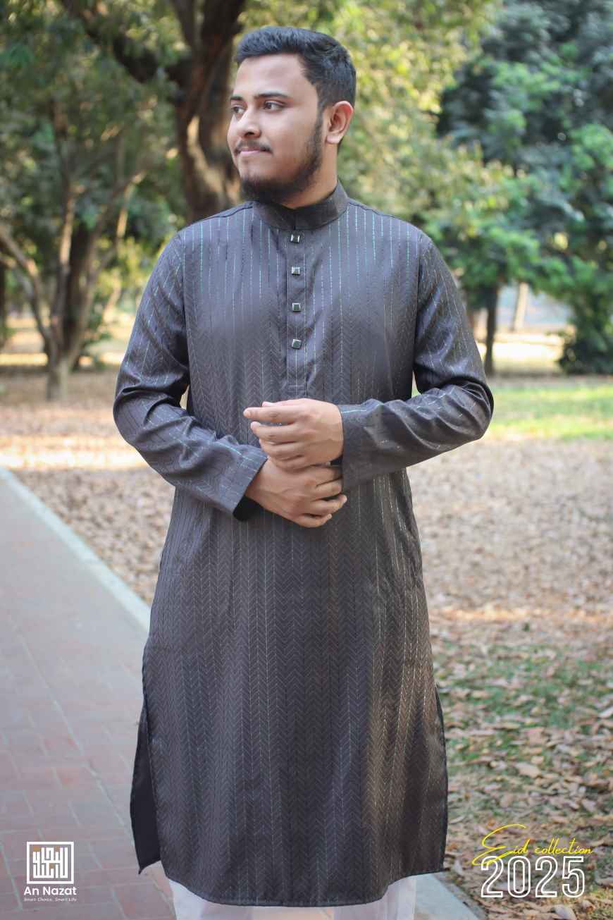 Gorgeous Grey Panjabi 1