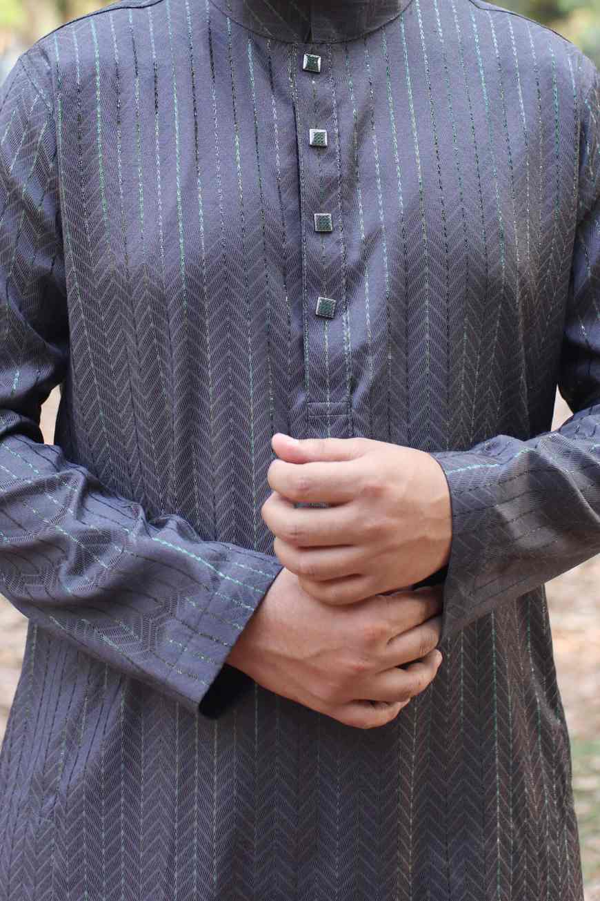 Gorgeous Grey Panjabi 3