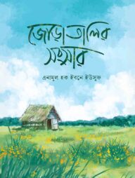 জোড়াতালির সংসার