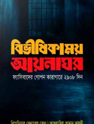 বিভীষিকাময় আয়নাঘর