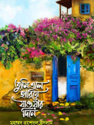 তুমি এলে হারিয়ে যাওয়ার দিনে