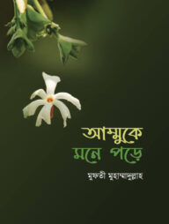 আম্মুকে মনে পড়ে