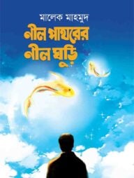 নীল পাথরের নীলঘুড়ি