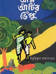 আম আঁটির ভেঁপু