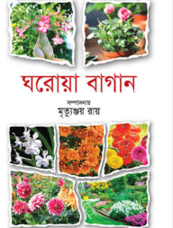 ঘরোয়া বাগান