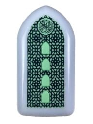 প্লাগিন কোরআন