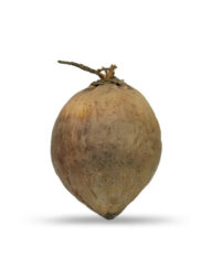 King size narikel 2pcs (নারিকেল)