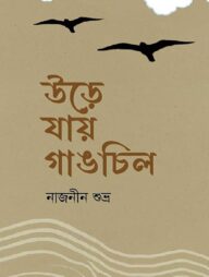 উড়ে যায় গাঙচিল