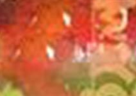 ইসলামের নামে জঙ্গীবাদ : আলোচিত ও অনালোচিত কারণসমূহ