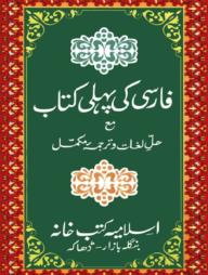 ফারসী কী পহেলী (কম্পিউটার)