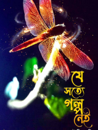 যে সত্যে গল্প নেই