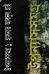 উপন্যাসসমগ্র-১