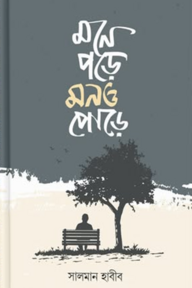 মনে পড়ে মনও পোড়ে