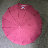 BMW Auto Open And Auto Close Umbrella 12 Ribs UV (Any Color)