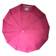 BMW Auto Open And Auto Close Umbrella 12 Ribs UV (Any Color)