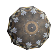 Auto Open And Close Anwer Print 10 Stick Umbrella (Any Print)