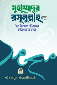 মুহাম্মাদুর রসূলুল্লাহ (সা.) তাঁর বিশাল জীবনের কতিপয় অধ্যায়