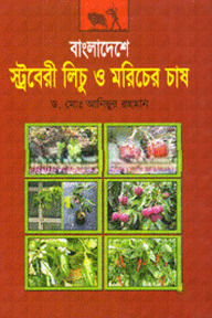 বাংলাদেশে স্ট্রবেরী লিচু ও মরিচের চাষ