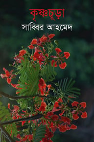 কৃষ্ণচূড়া
