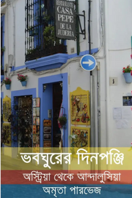ভবঘুরের দিনপঞ্জি