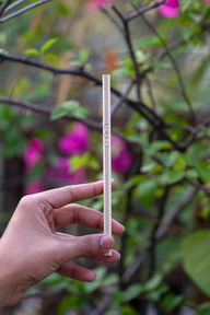 Dhaka Wooden Pencil