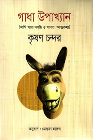 গাধা উপাখ্যান