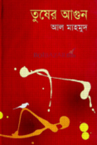 তুষের আগুন